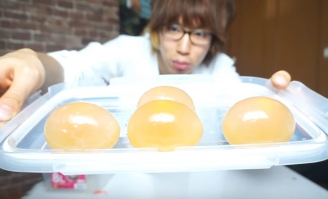 Youtuber ユーチューバー の はじめしゃちょー がダチョウの卵を酢にブチ込んで巨大スーパーボールを作るより年収がヤバかったｗｗ Foundia ファウンディア